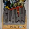 Flash Fastest Man Alive # 13 DC Nation Variant Death of Bart