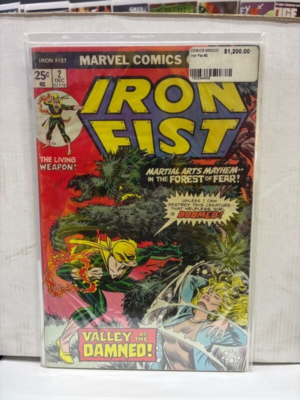 Iron Fist #2