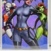 Gotham Sirens # 1 Nathan Szerdy Variant